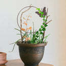 Suporte de Escalada Plant